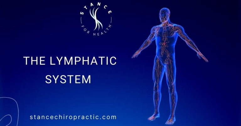 The Lymphatic System